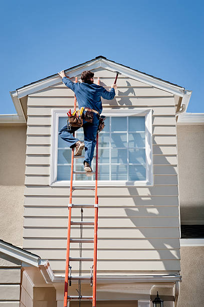 Shed Removal in Peotone, IL